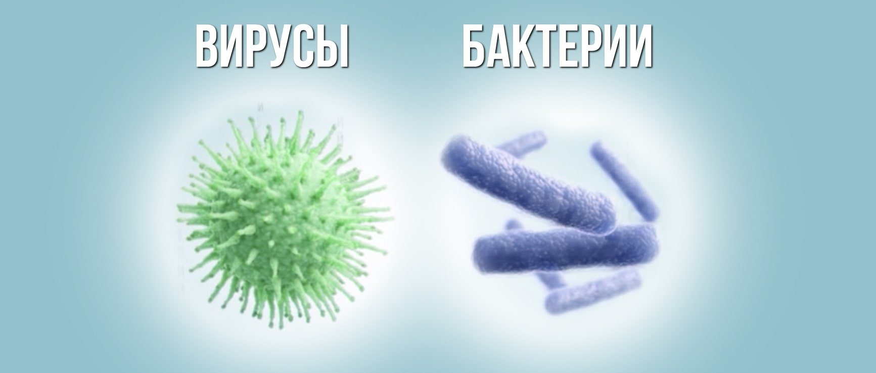 Сравнение бактерий и вирусов. Вирусы и бактерии. Вирусы и бактерии в чем разница. Вирус от бактерии. Вирусы отличаются от бактерий.